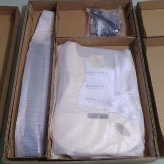 Fistrock Strat kit in shipping box