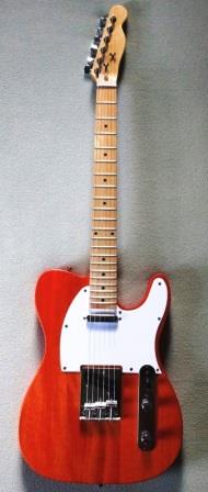 Leo jaymz Telecaster Style Kit